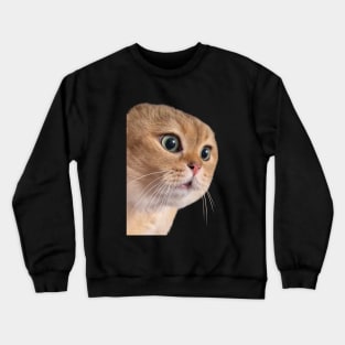 Cat boyfriend couple relationship meme Crewneck Sweatshirt